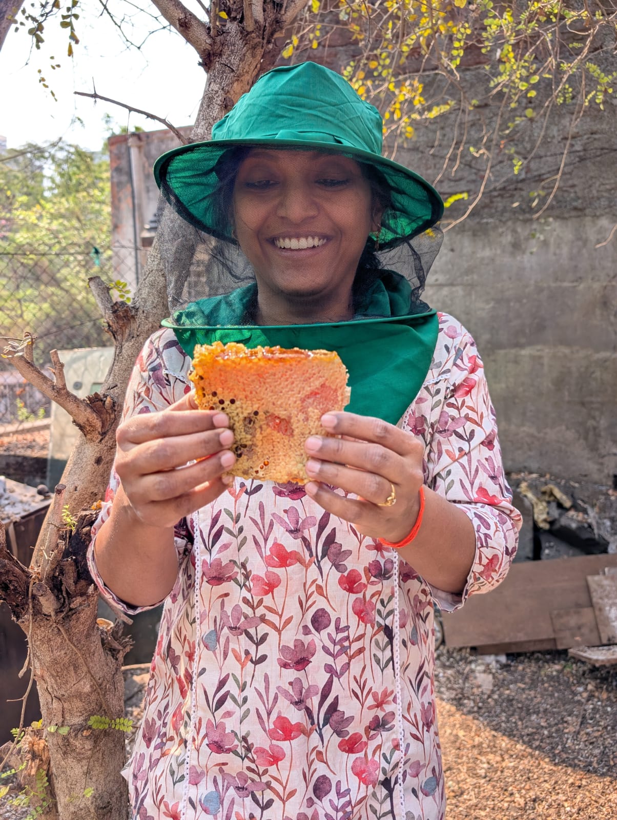 Beekeeper showing fresh honeycomb with bees