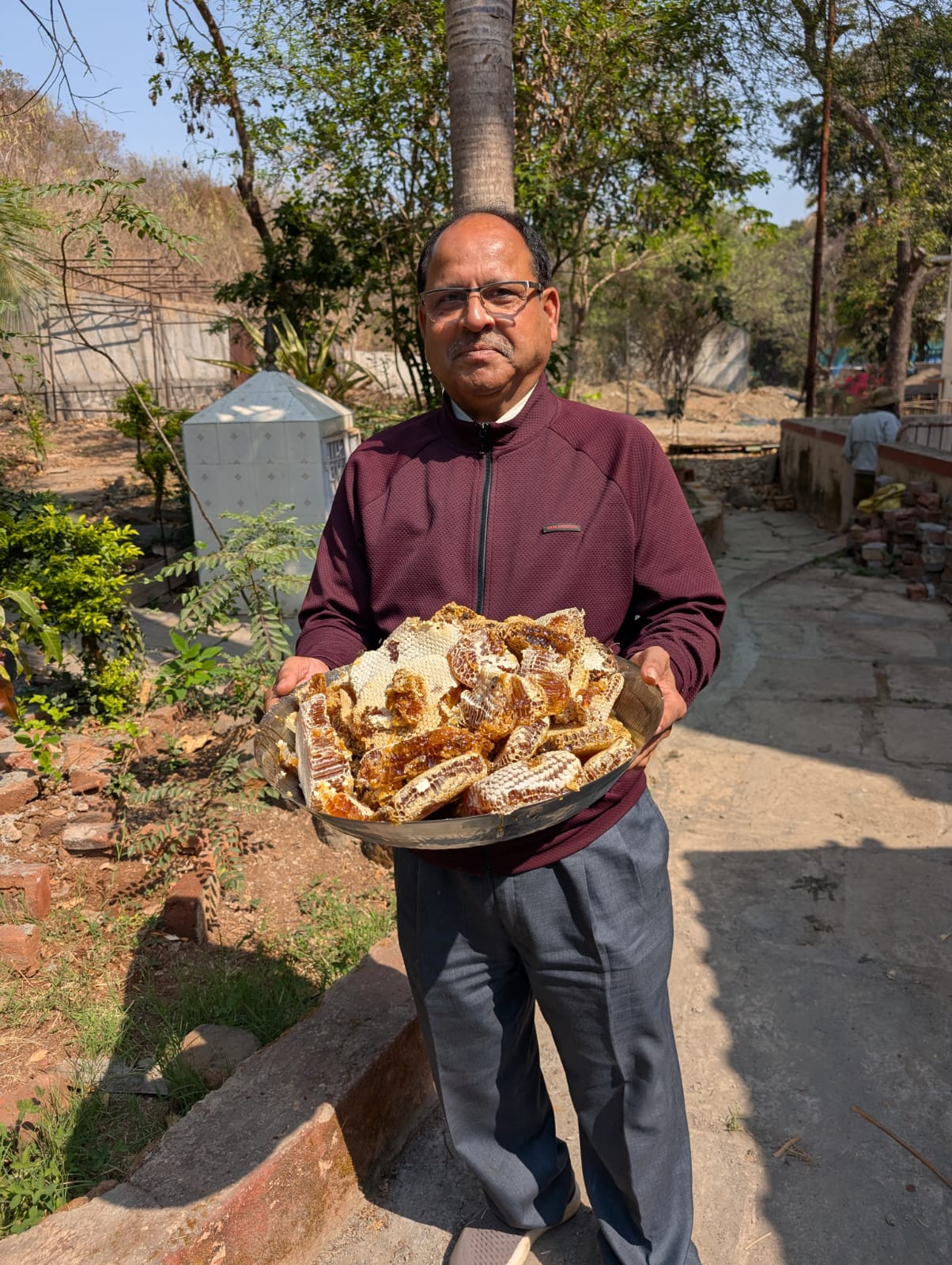 Expert displaying harvested honeycomb
